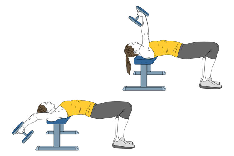 Musculación para principiantes: entrena la espalda y los