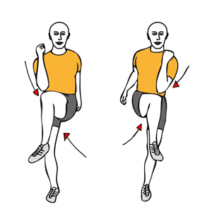 Flexión de caderas alternas hacia el codo contrario