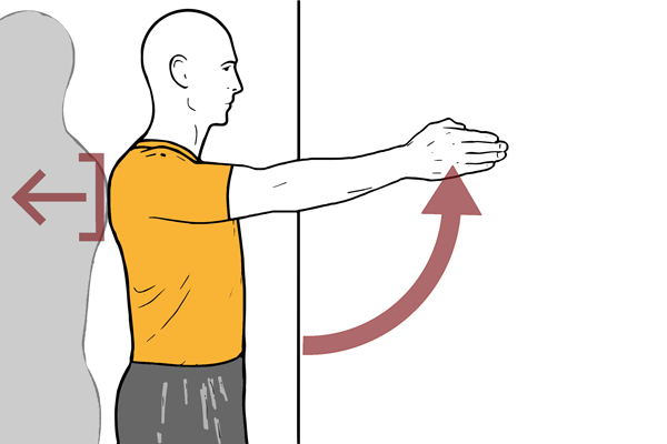 Control escapular con flexión de hombro